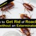 How do you get rid of roaches if you have pets?