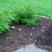 will red mulch attract termites