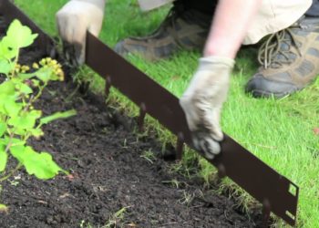 What is the easiest way to edge your lawn?