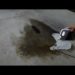 how to clean transmission fluid from concrete driveway