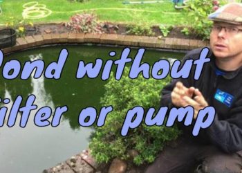 What size filter do I need for my pond?