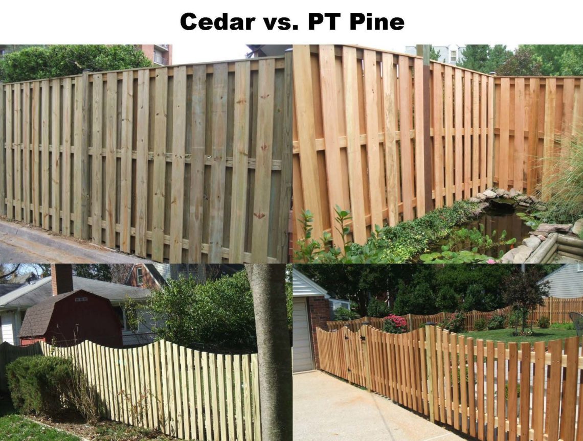 Does cedar last longer than pressure treated wood?