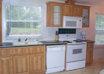 dishwasher next to electric oven