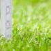 how to measure grass height