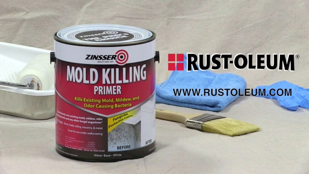 Does mold killing primer really work?