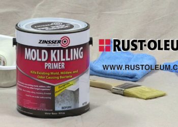 kilz primer over mold