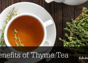 What are the benefits of drinking thyme tea?