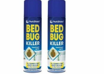 carpet bug killer
