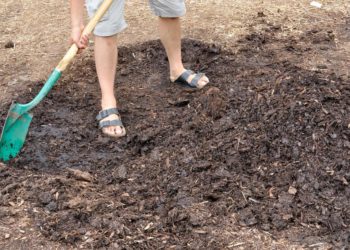 fungicide for mulch