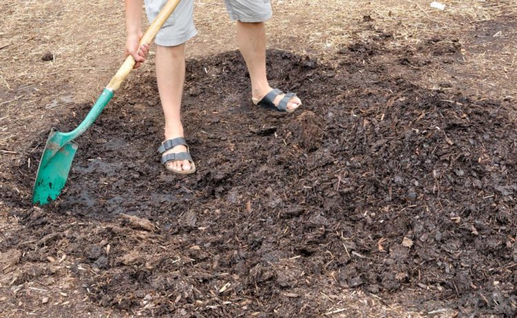 Does vinegar kill fungus in mulch?