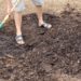 fungicide for mulch