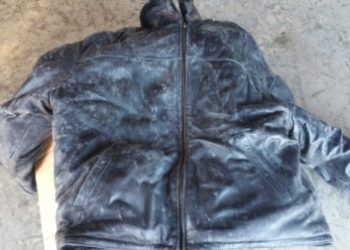 how to clean mold off suede