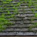 how to get rid of moss on shed roof