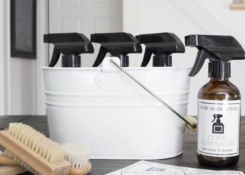 diy car odor eliminator