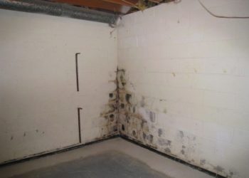 Does OxiClean get rid of mildew smell?