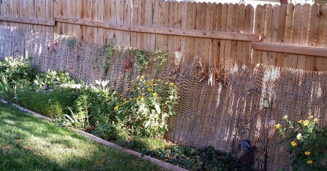 How can I make my backyard fence look better?