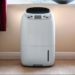 Why is my dehumidifier blowing cold air?