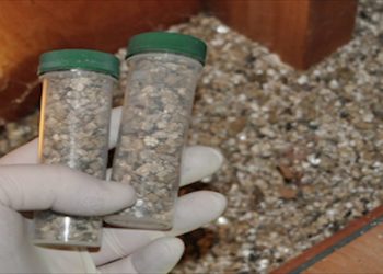 what does zonolite look like