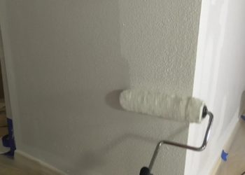 what size nap to paint walls