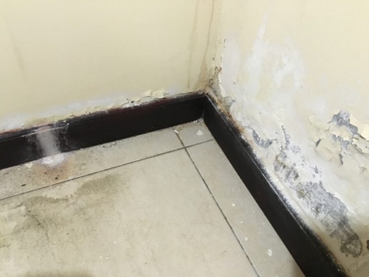 leak in bathroom wall