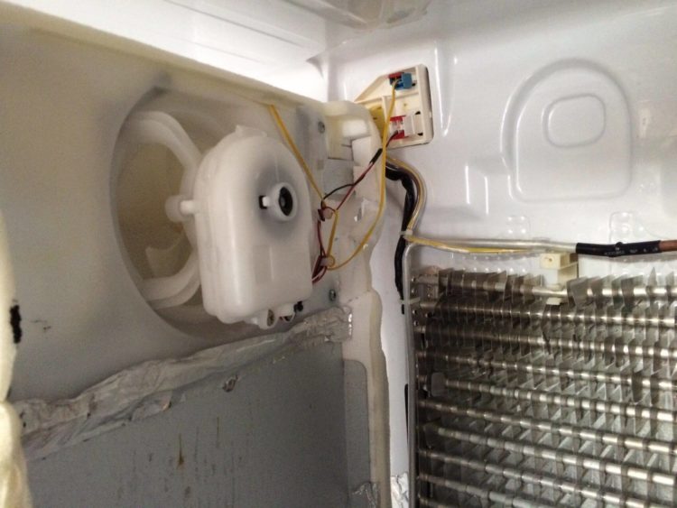 Why the fridge is not cold but the freezer is Samsung?