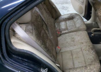 how to get mold out of fabric car seats
