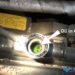 oil in radiator