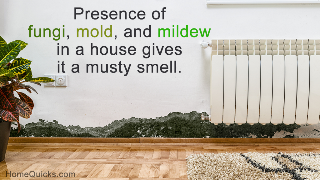How do I get rid of a musty smell in my house?