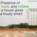 how to get rid of musty smell in attic
