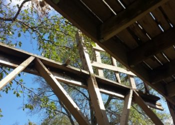 deck mold prevention