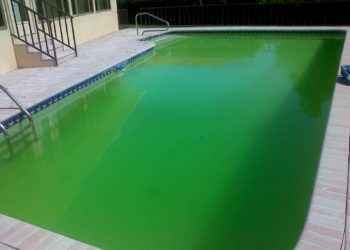 Why does my pool always have dirt on the bottom?