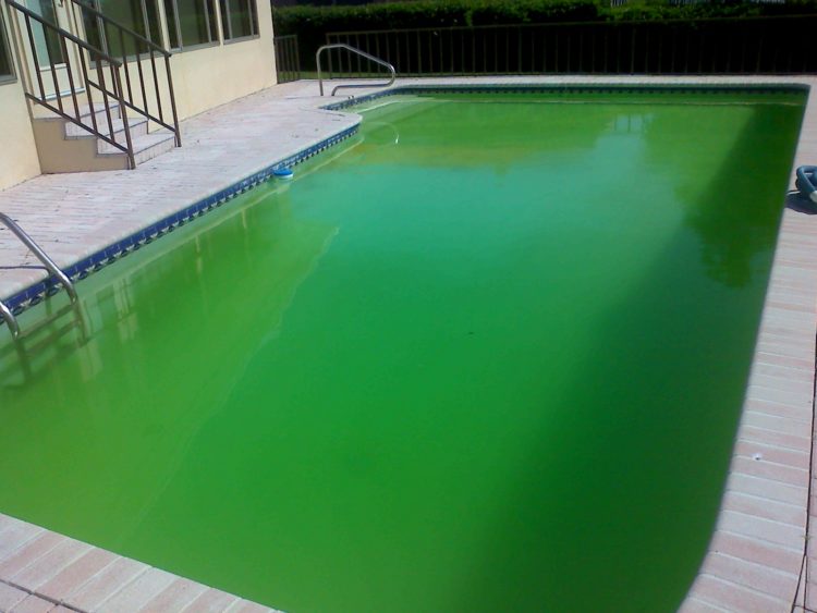 Why does my pool always have dirt on the bottom?