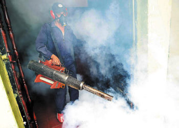 flea fumigation