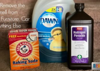 how to remove vomit smell