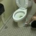 how to get urine out of grout around toilet