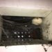 wasps in air vent
