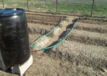 How do you make a gravity fed drip irrigation system?