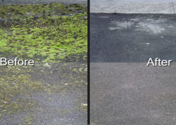 moss treatment for tarmac