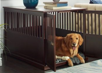 kennel size for 20 lb dog