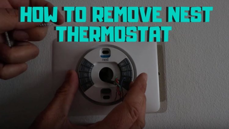 remove nest thermostat from wall