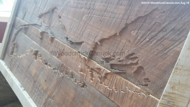 scotia wood