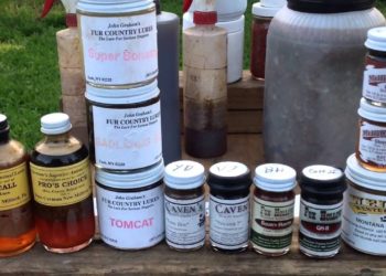 rabbit trapping bait and lures