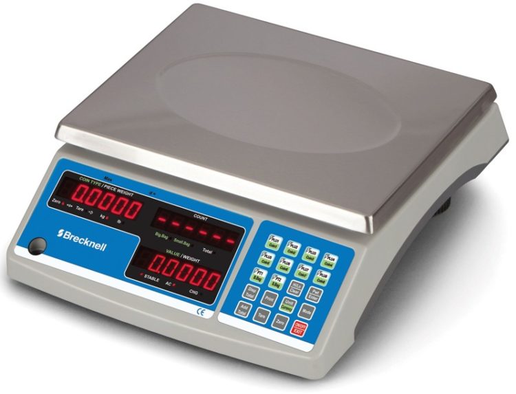 calibrate salter scales