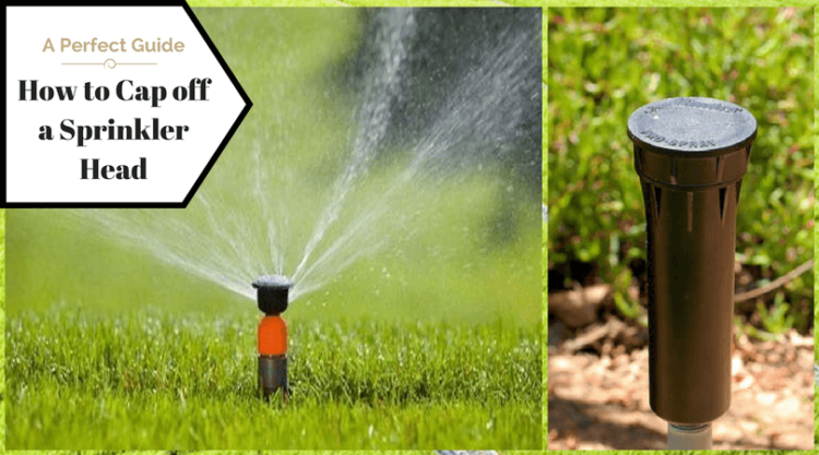 How do you cap off a sprinkler head?