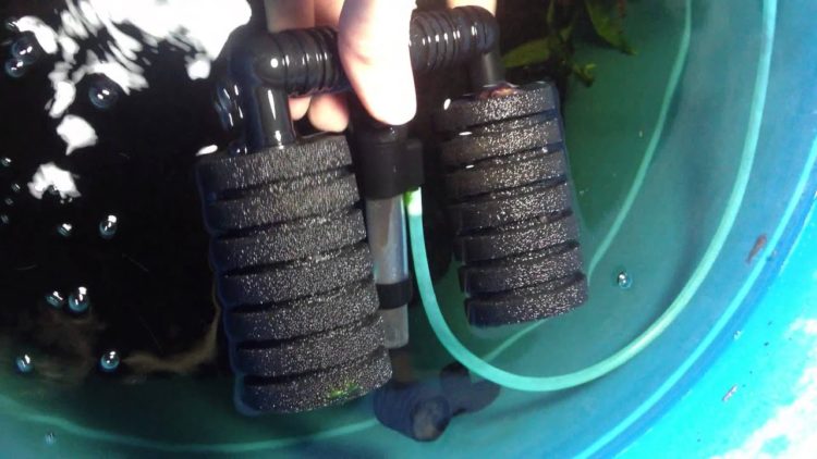 how to clean a sponge air filter