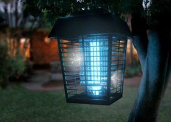 How do you clean bug zapper?