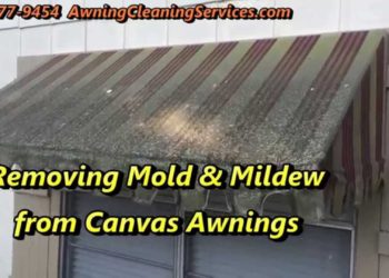 how to clean mold off of canvas awnings