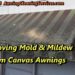 how to clean mold off of canvas awnings