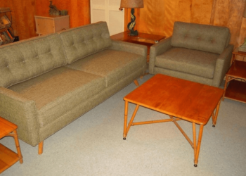 remove vomit from couch