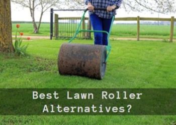 What can I use instead of a lawn roller?